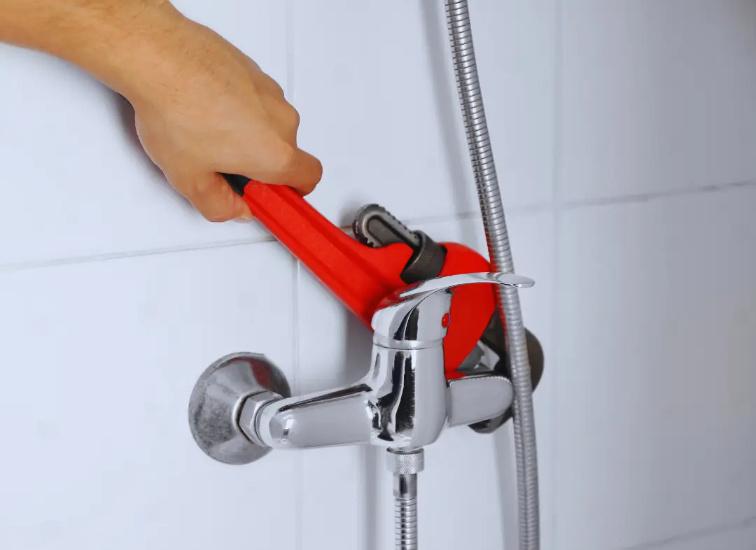 Mitigeur Thermostatique douche Savenay