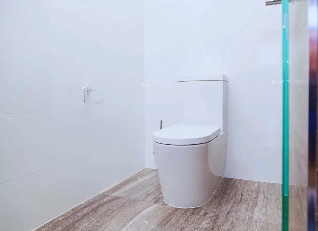 Remplacement de wc Savenay